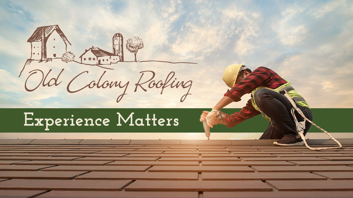 Signs You Need a Roof Repair: When to Call a Professional